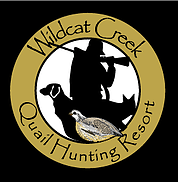 Wildcat Creek