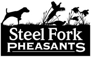 Steel Fork Pheasants